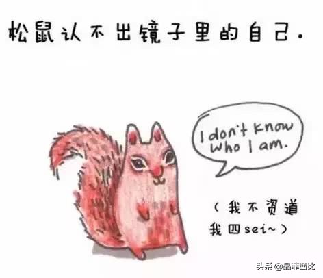 8个关于动物的冷知识,你不知道的二十条动物冷知识