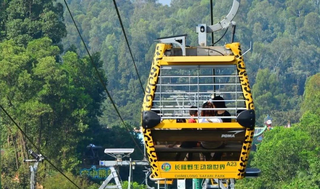 暑假带娃去广州长隆野生动物世界,研学亲子游广州长隆野生动物园