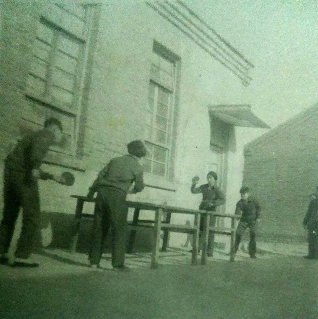 王理学哒歌｜曾经的深县一中乒乓球队