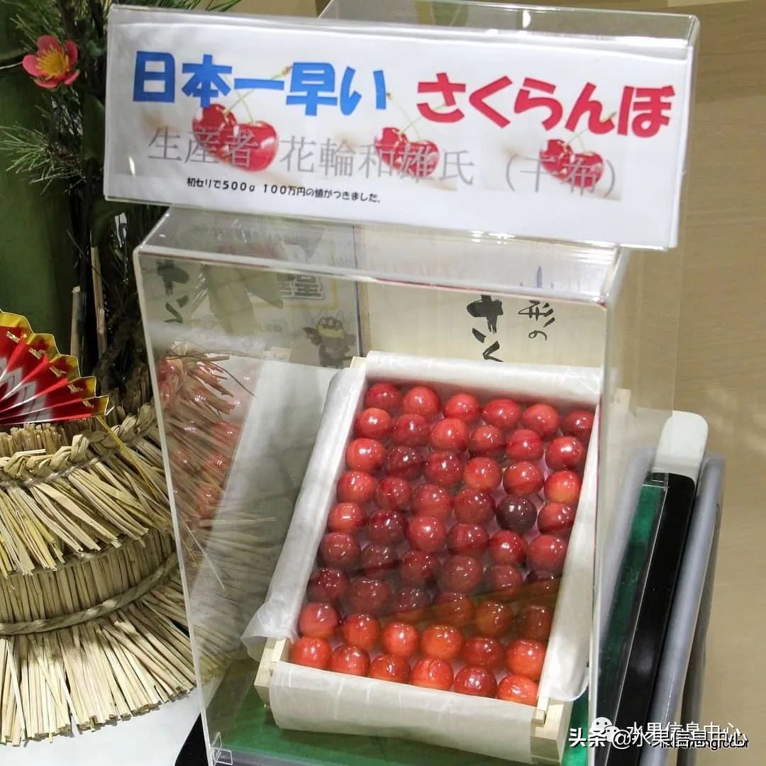 卖樱桃8块一斤十五块两斤的视频,一斤樱桃多少钱