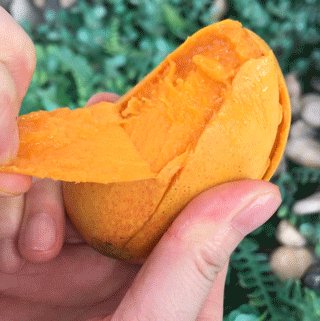 三种芒果最便宜,买芒果注意啥