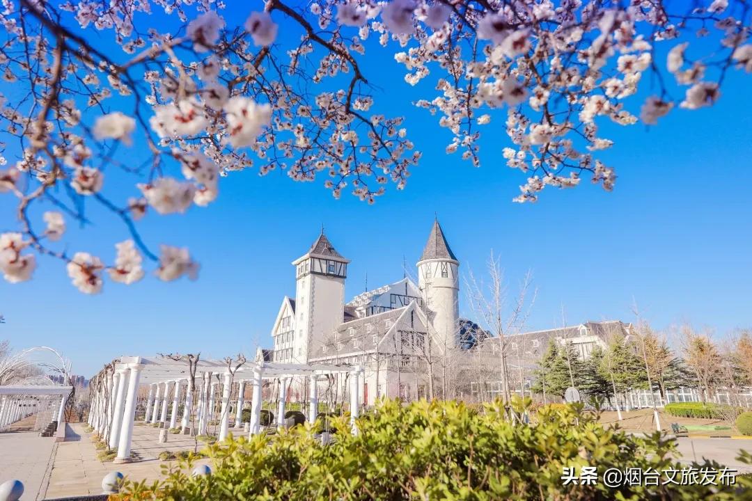 张裕卡斯特酒庄窖藏5年,张裕卡斯特酒庄品酒