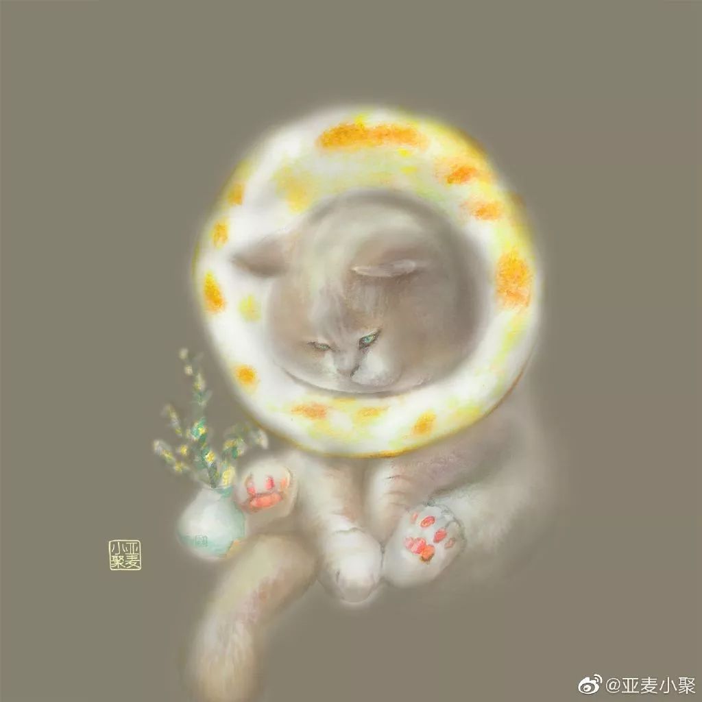 可爱的橘猫插画,一组可爱的治愈系猫咪插画