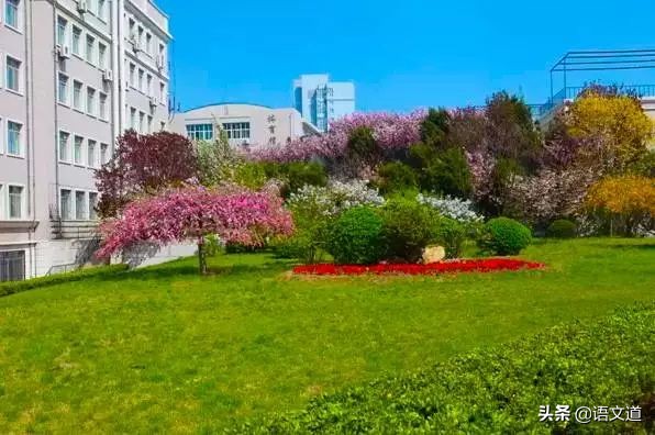 大连所有中学名单,大连入选全国500强的高中