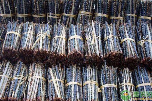 蜈蚣价值多少钱一斤,蜈蚣的中药价格多少钱一斤