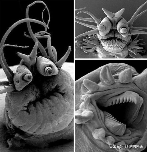 大自然的奇妙之处写话,大自然的奇妙之处作文350字