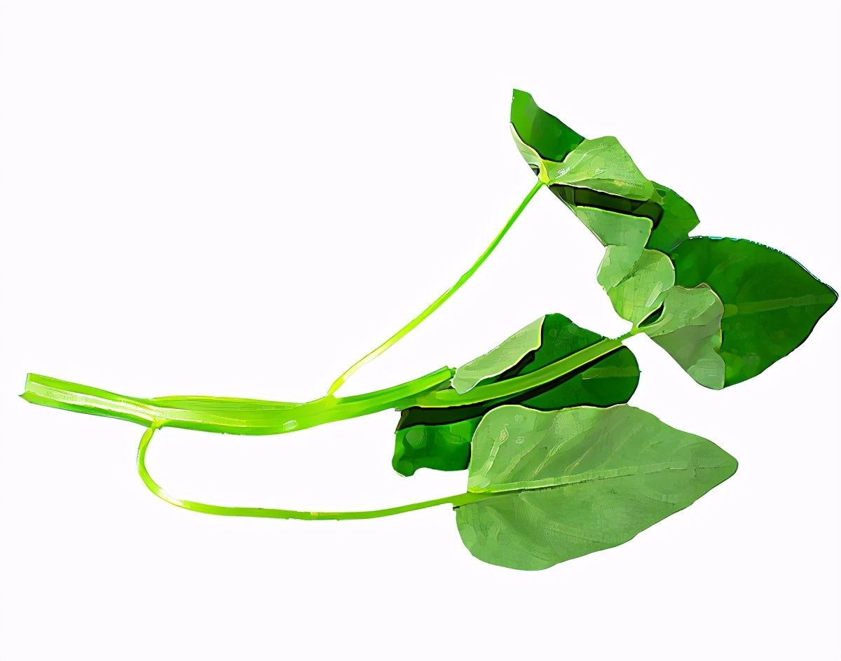 4月份应季食材一览表照着吃没错,5月应季食物有什么营养价值