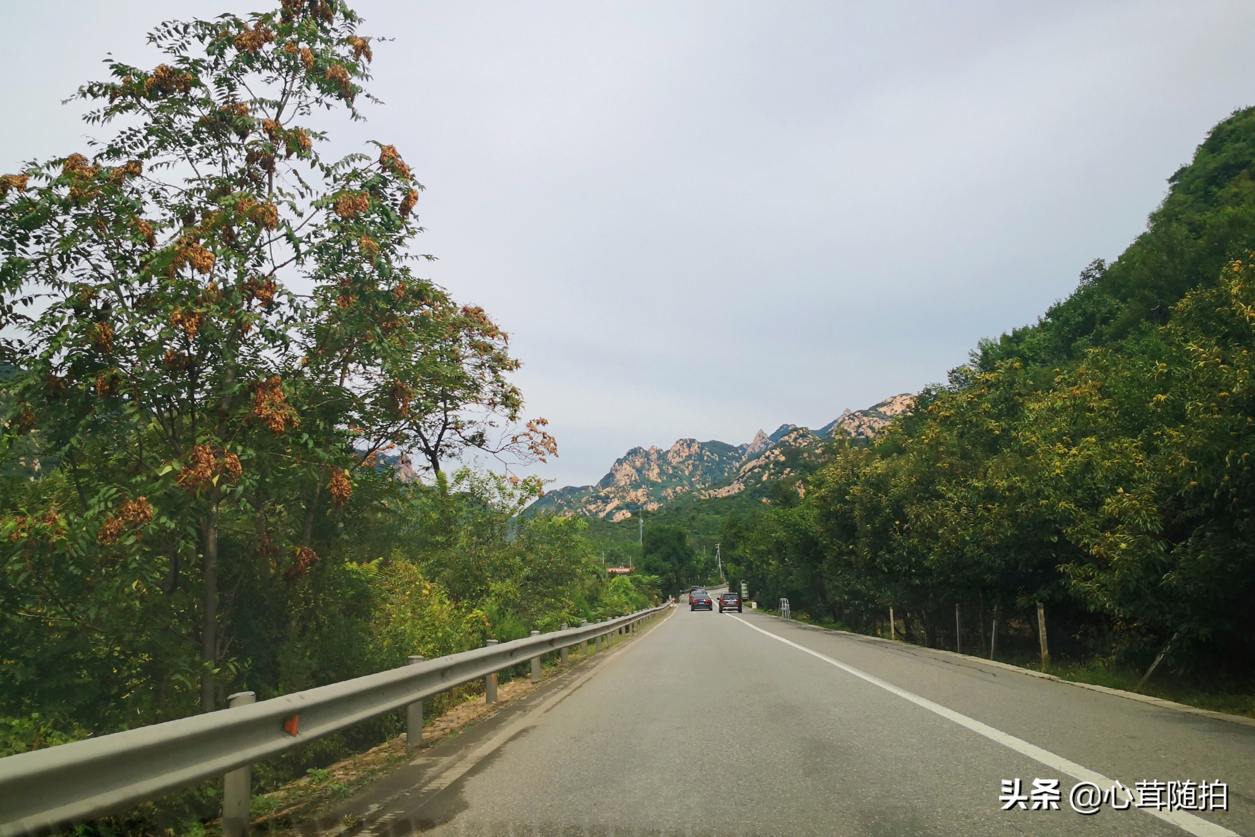 自驾白河湾,白河湾自然风景区自驾