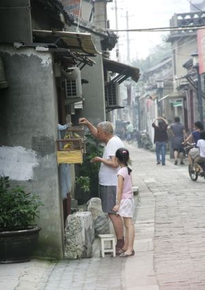 养鸟人10年后的感受,浅谈养鸟的生理与心理的护理