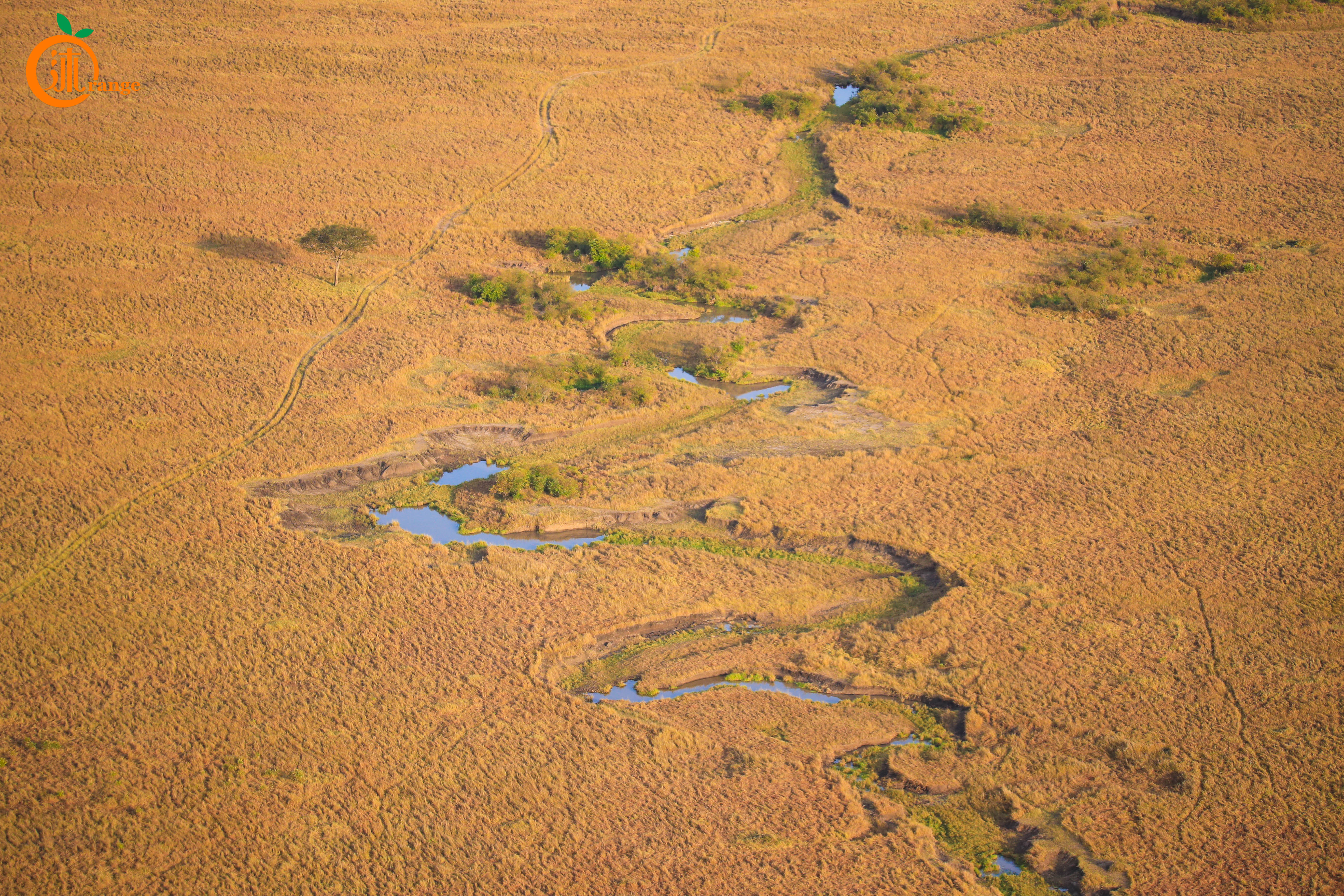 世界上最贵热气球多少钱一个,世界上最贵的热气球多少块钱