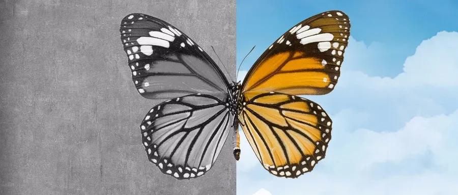 王大嘴金圣叹段子,金圣叹12段子