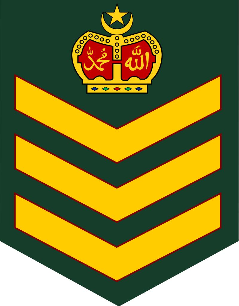 各国军衔标识韩国,马来西亚军衔等级对照表