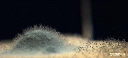 水槽边缘玻璃胶发霉怎么处理,水槽边玻璃胶发黑发霉