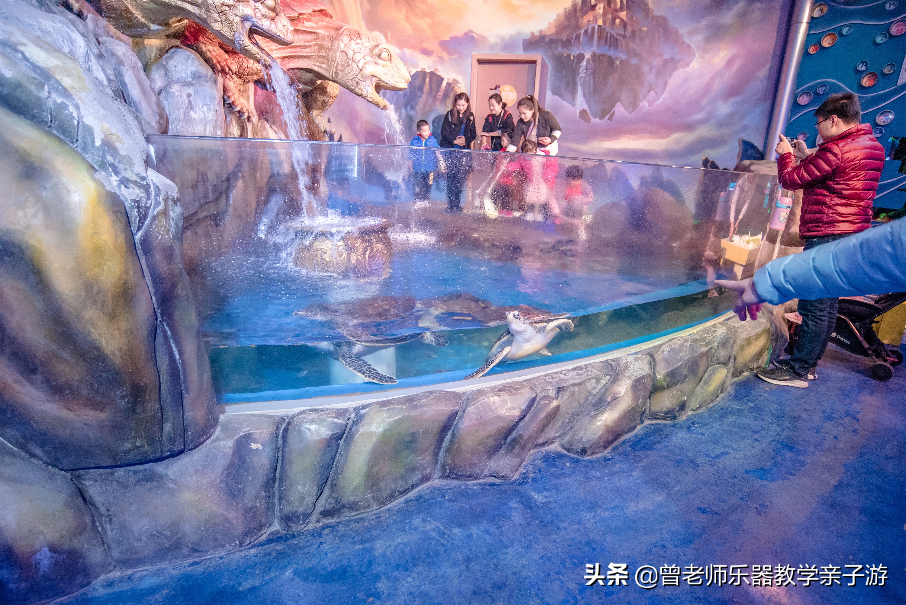 西安太奥海洋馆,西安极地海洋世界海豚表演