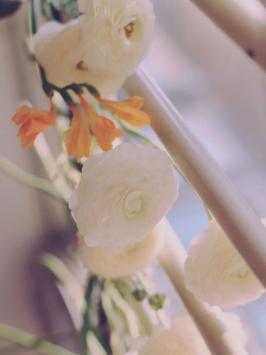 伴娘任务清单,婚礼上伴娘的任务清单