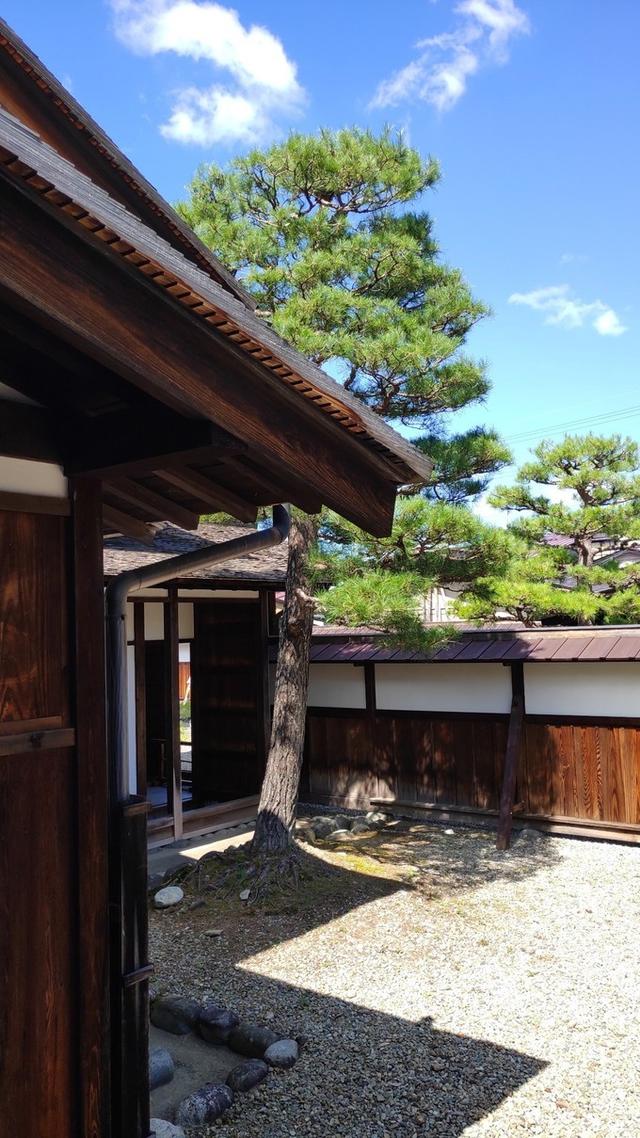 景点打卡日本名古屋乐高公园,日本名古屋乐高公园