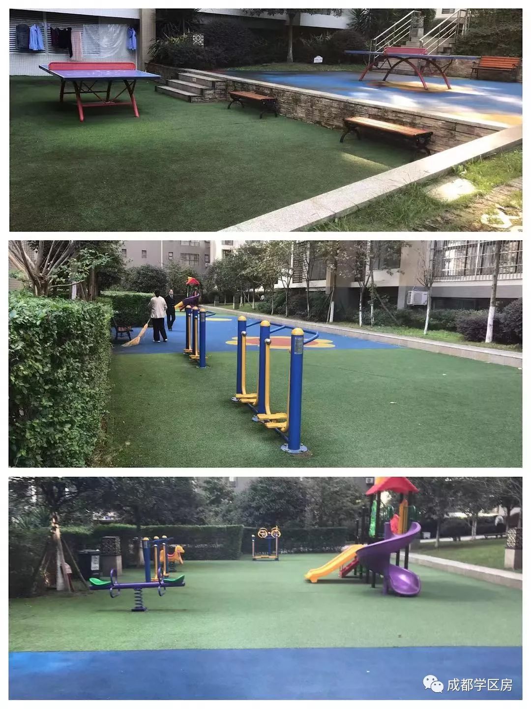 天府新区第五小学待遇,天府新区第五小学对口中学