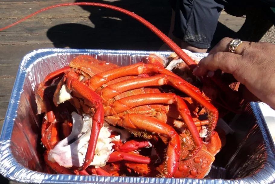 加州新港海滩游玩攻略,加州旅游推荐海边景点攻略