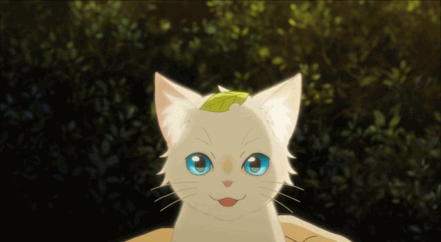 这部温情的撸猫片，让我哭得溃不成军，这是全世界猫*党**的胜利