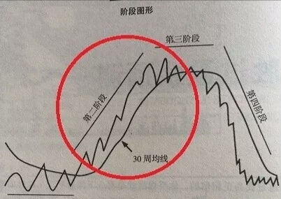 成长股有哪些重要特征,成长股是什么
