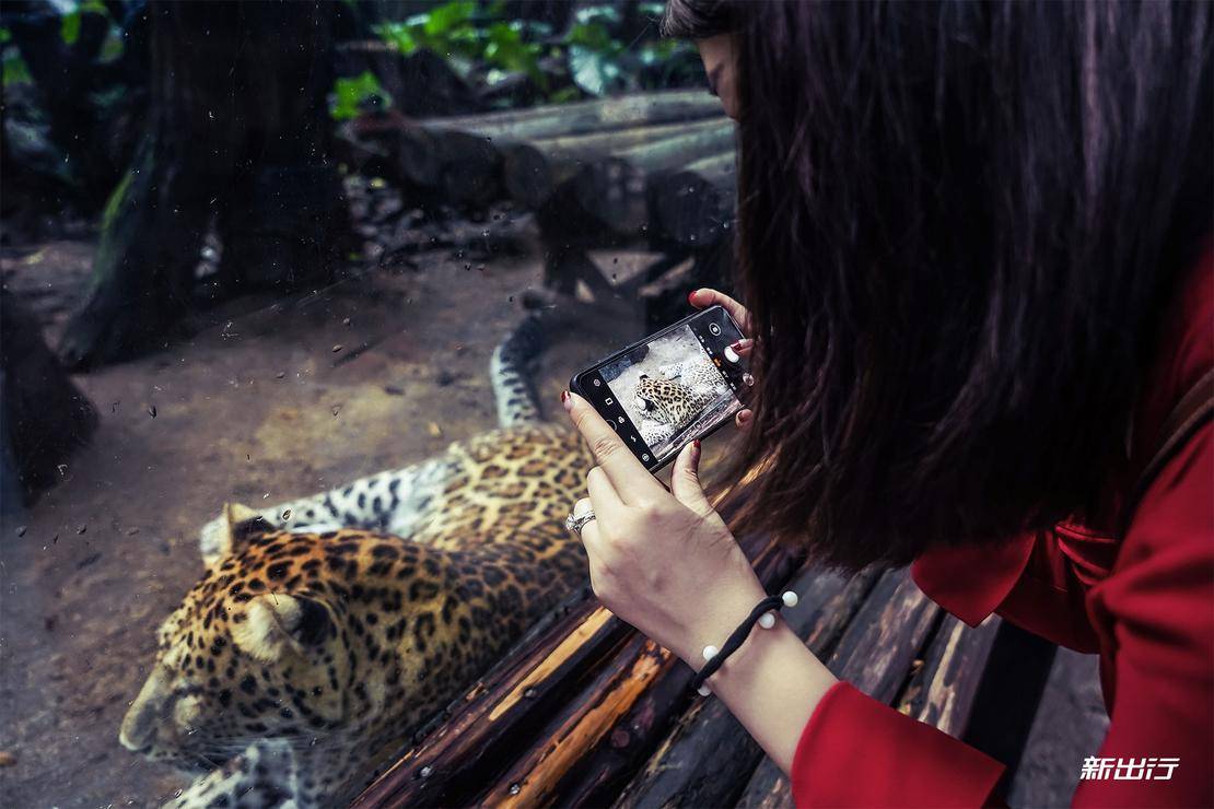 打卡长隆动物园记田妈和威马EX5520的周末