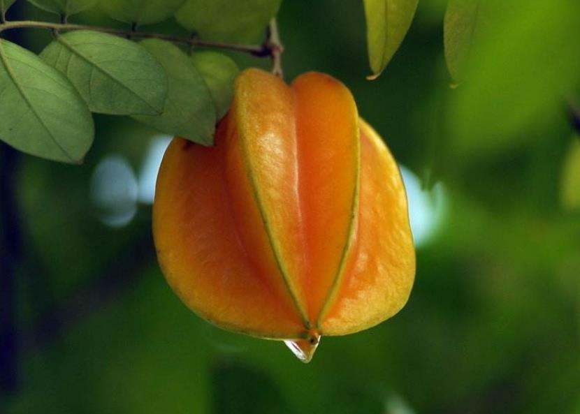 为人处世记住这五大忠告,老人言做人八大忌