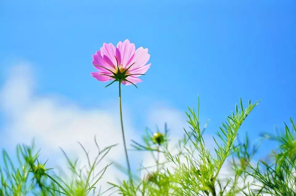 我的旅游足迹介绍,我的旅游小感想