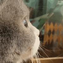 搞笑gif开心一刻,搞笑gif段子妹子你太皮了