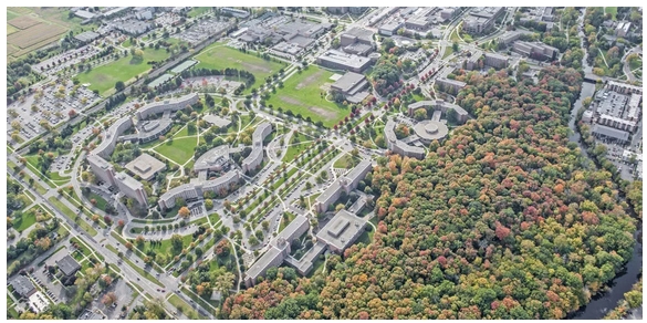 美国最受欢迎的十大名校排行榜,美国top前30大学推荐