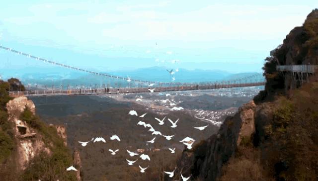 安徽玻璃桥旅游攻略,安徽周边大峡谷二日游最佳攻略