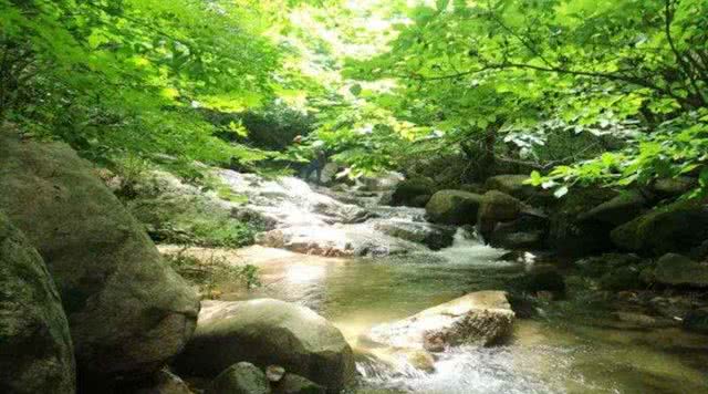 湖北度假村项目,湖北度假村航拍