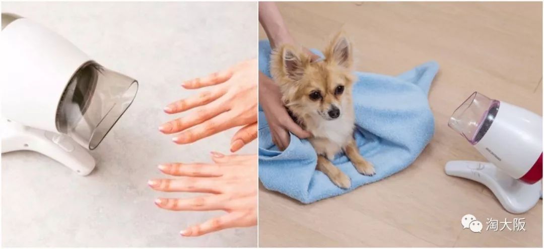 日本比较值得入手的小家电,日本必买小家电