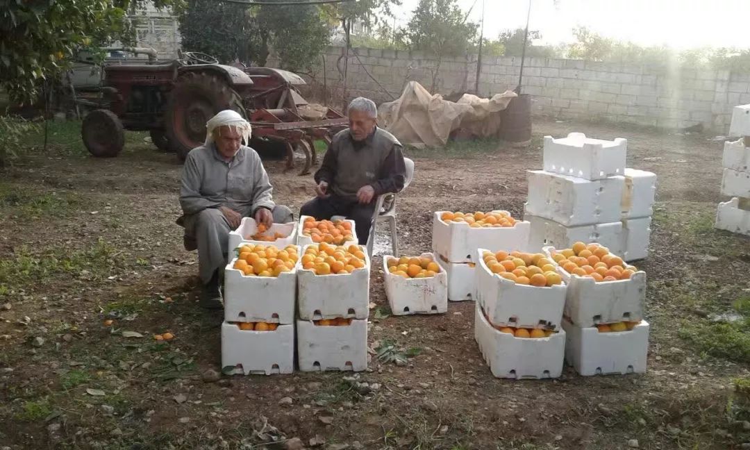 靠一块香皂养活厂里20多人，叙利亚商人逃离战火扎根上海