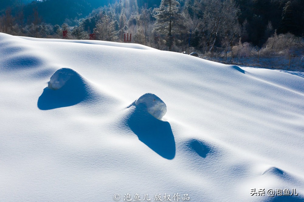 陕西秦岭发现的石头,捡石头下雪了后续