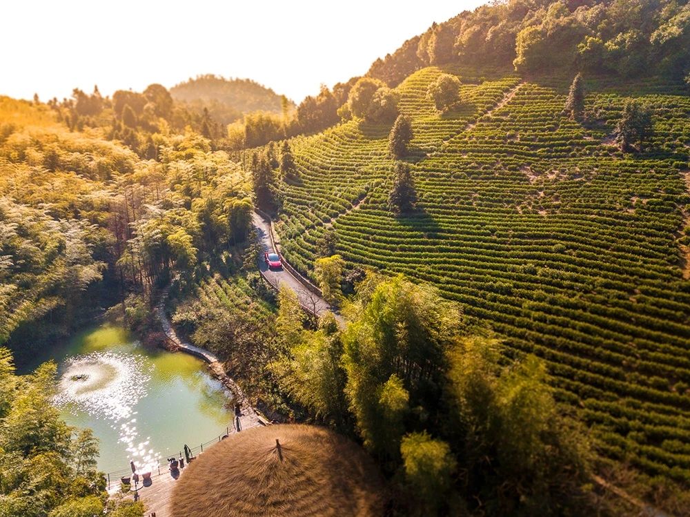 裸心谷裸心堡价格,裸心堡和裸心谷哪个风景好