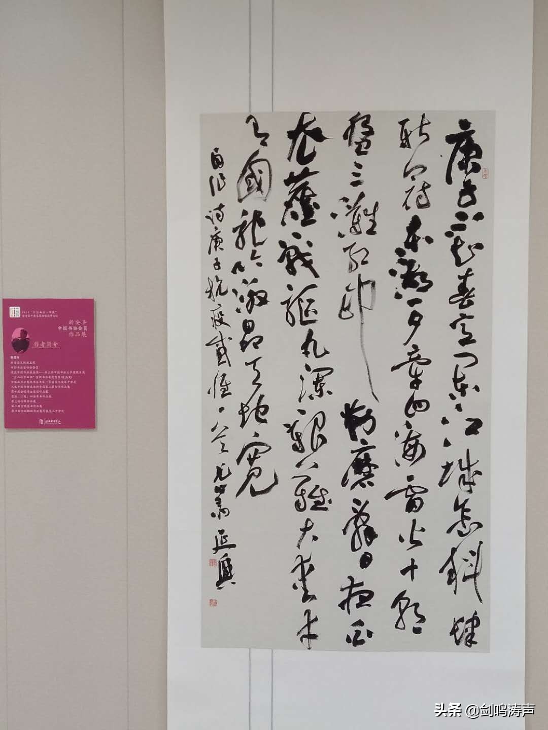 “2019中国书法•年展”之新安县中国书协会员作品展