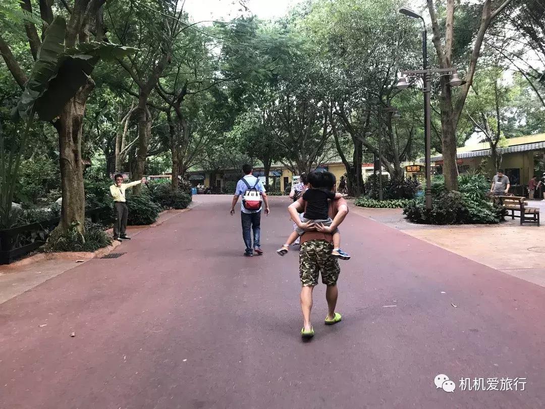 珠海长隆和广州长隆旅行攻略,珠海长隆和广州长隆旅游攻略区别