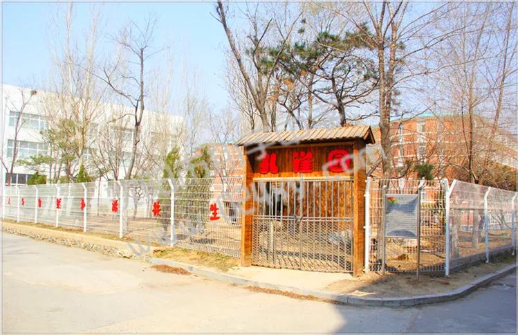 辽宁翔宇中学,2021辽宁沈阳翔宇中学