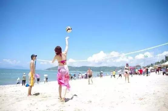 与海洋生物一起旅游,与海洋生物同游