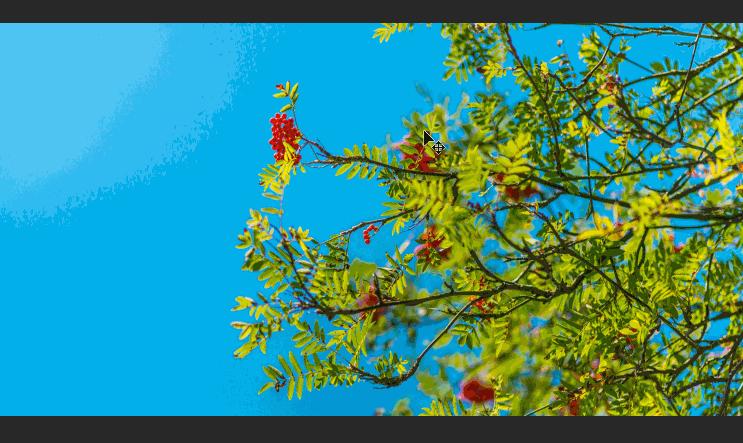 ps转换点工具快捷键是什么,ps常用快捷键大全帮助快速学成