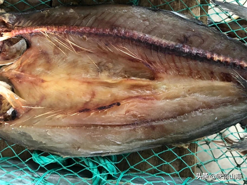 胶东晒鲅鱼干,正宗咸鲅鱼干晒制方法
