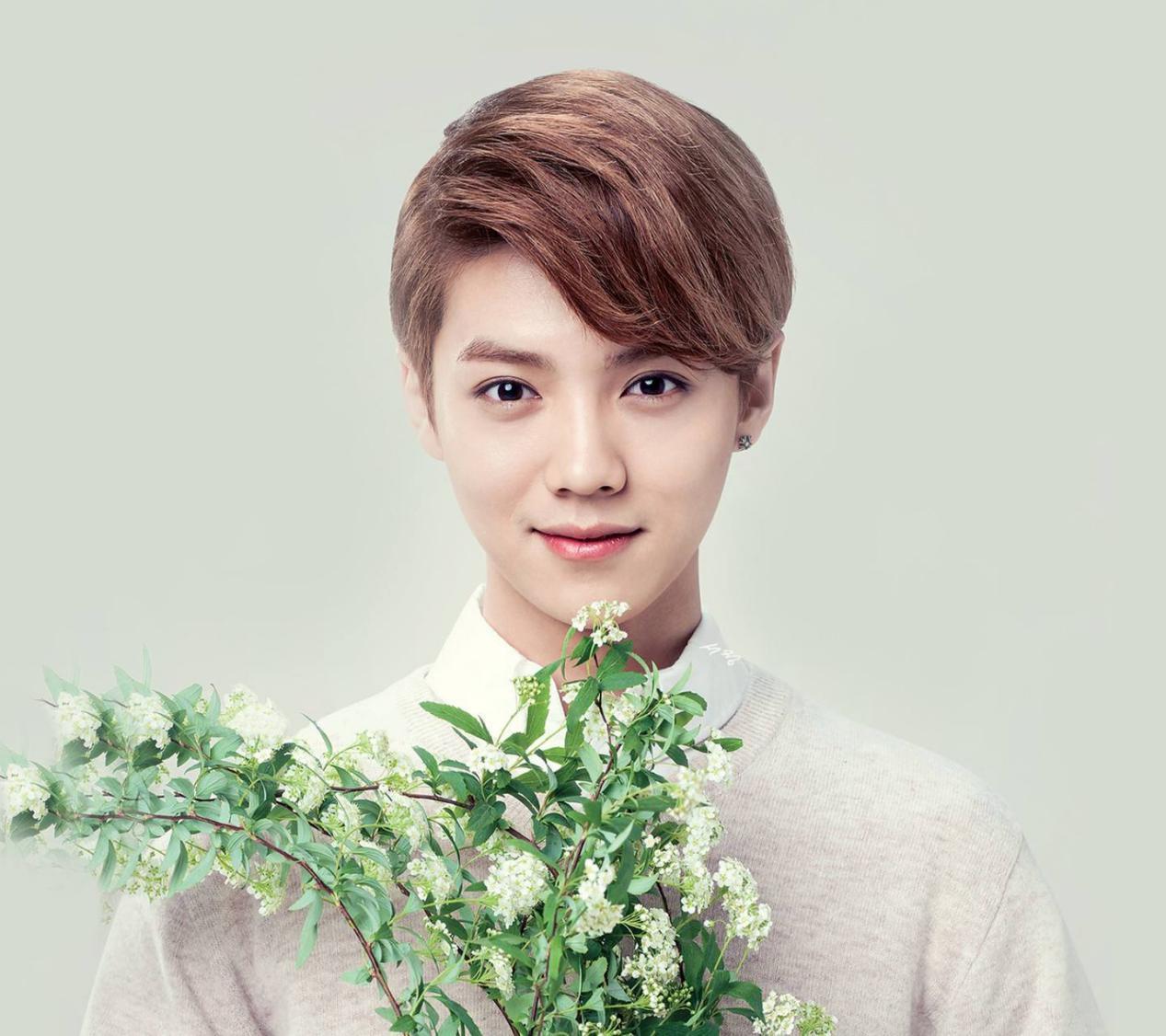 鹿晗表情包是什么梗,鹿晗图片表情包