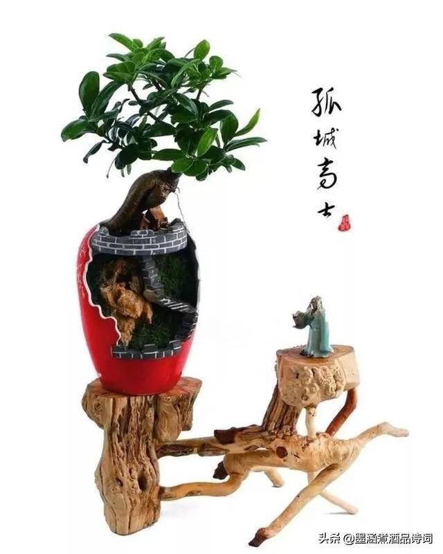 国学读本及名言名句55句,国学名言警句摘抄大全简短