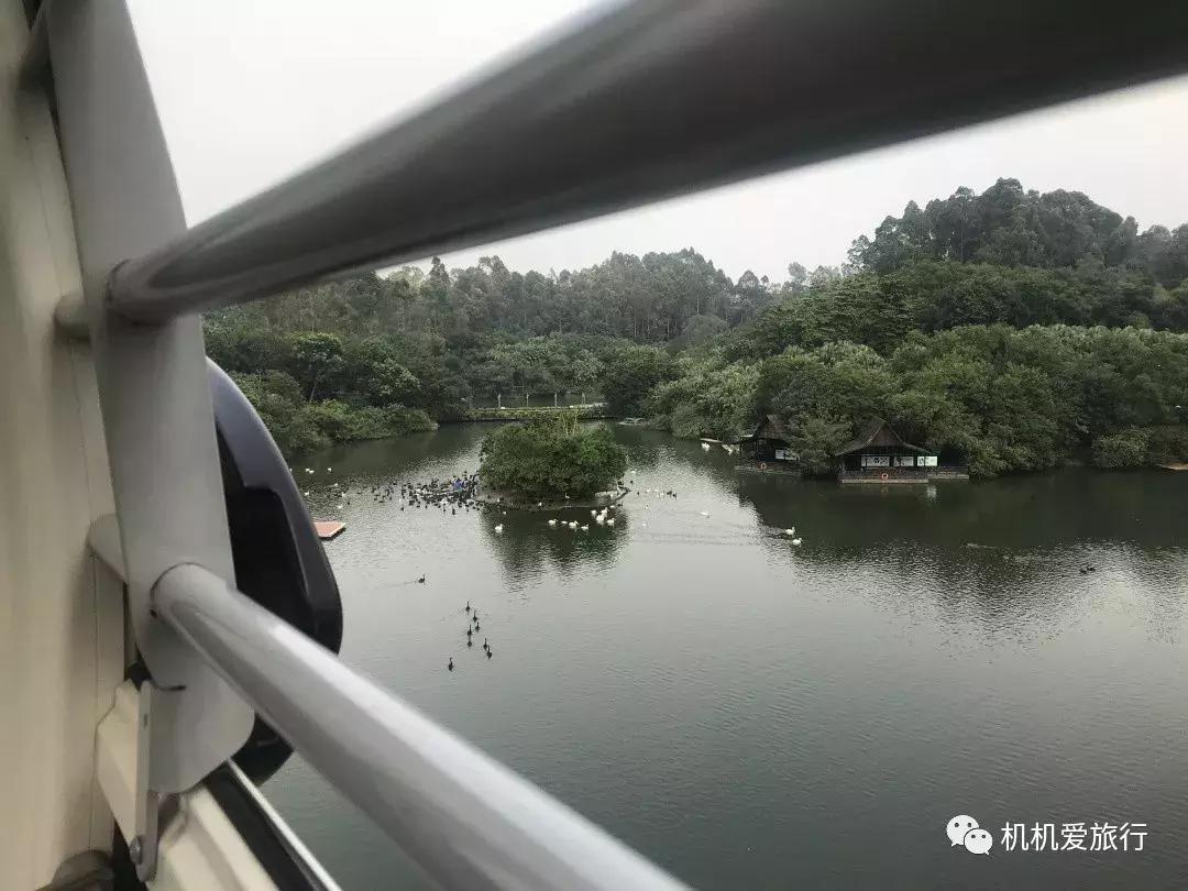 珠海长隆和广州长隆旅行攻略,珠海长隆和广州长隆旅游攻略区别