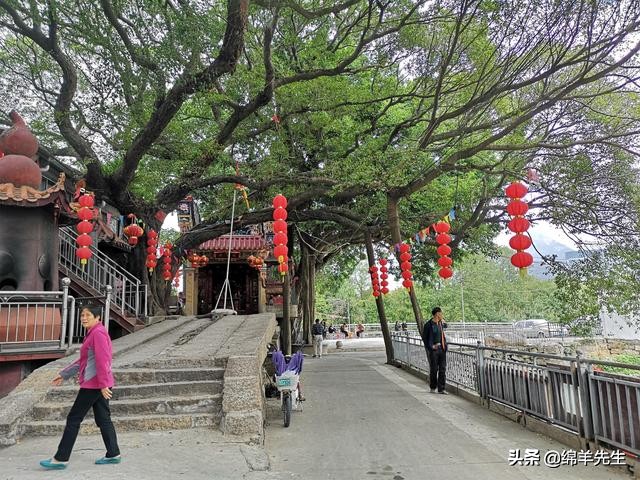 涓冪鍏繘澹笁浠ｄ簲灏氫功,绂忓窞浠撳北鍘嗗彶鏂囧寲閬椾骇