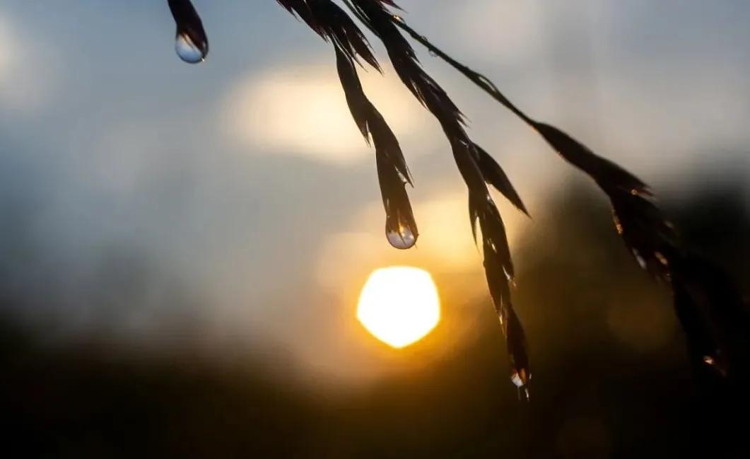 半生风雪，吹落深秋霜月