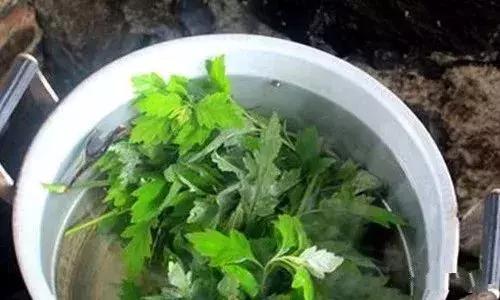 三九期间老人要注意的几件事,三九天中老年要注意的三件事