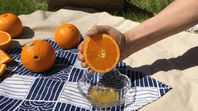 长春生鲜冷链配送,长春蔬果生鲜配送新鲜直达