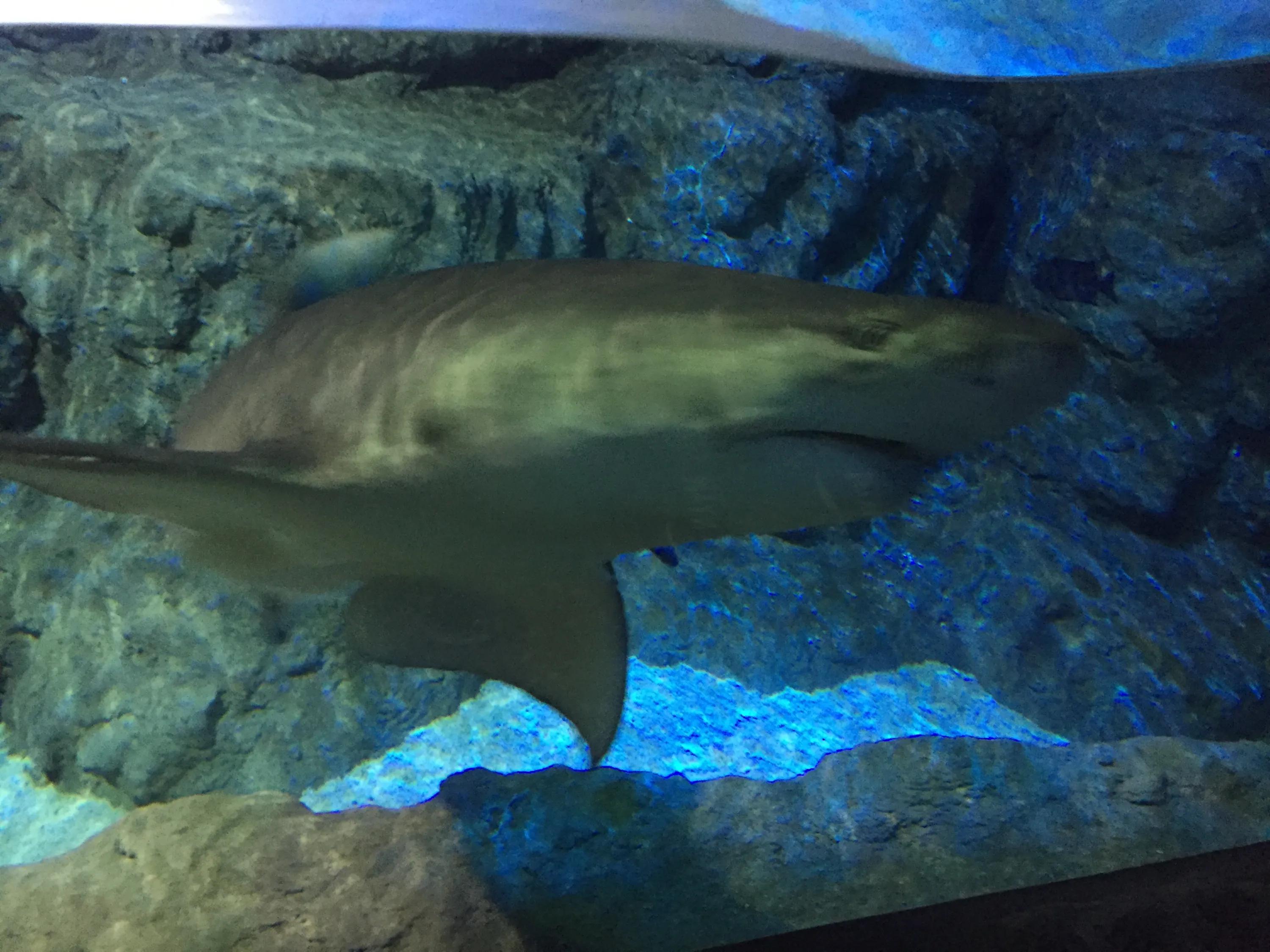 富国海底世界京津冀,富国海底世界门票京津冀卡优惠