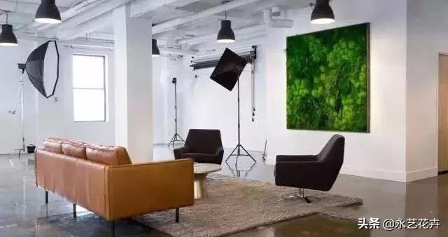 永生苔藓墙多少钱一平方,永生苔藓仿真植物墙